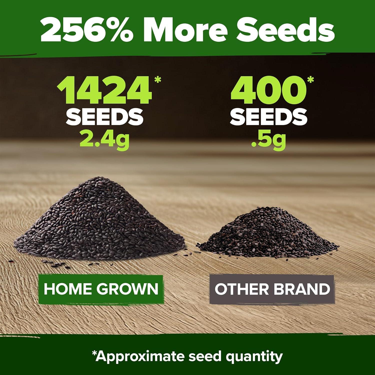 image:imageHOME GROWN Non GMO Genovese Basil Seeds Pack 1750 High Germination Heirloom Seeds Ocimum basilicum Herb Seeds for Planting Indoor amp Outdoor Gardening for Culinary UseItalian Basil