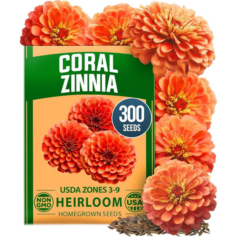 image:imageHOME GROWN Coral Zinnia Seeds 1g  600 Zinnia elegans Annual Flower Seeds for Planting Outdoors  Heat Tolerant Easy Summer Flowers to Plant  Herb Seed Companion for Pollinator Garden Beds for 2026Zinnia Coral 1pk