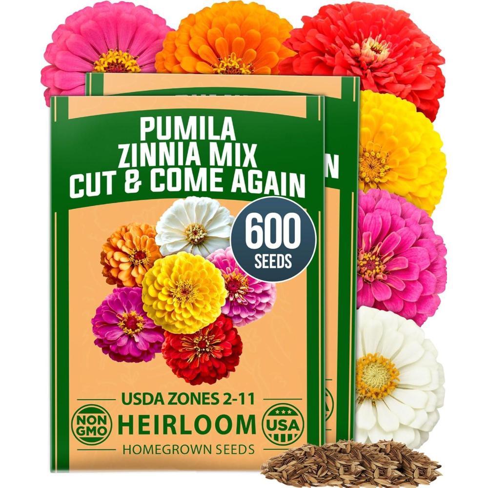 image:imageHOME GROWN Dwarf Zinnia Seeds Mix  600 Pumila Zinnia Seeds for 2026 06g  Zinnia Flower Seeds for Planting Outdoors  Colorful Cut Annual Flowers for Summer Gardens amp Containers Zinnia elegansZinnia Pumila 2pk