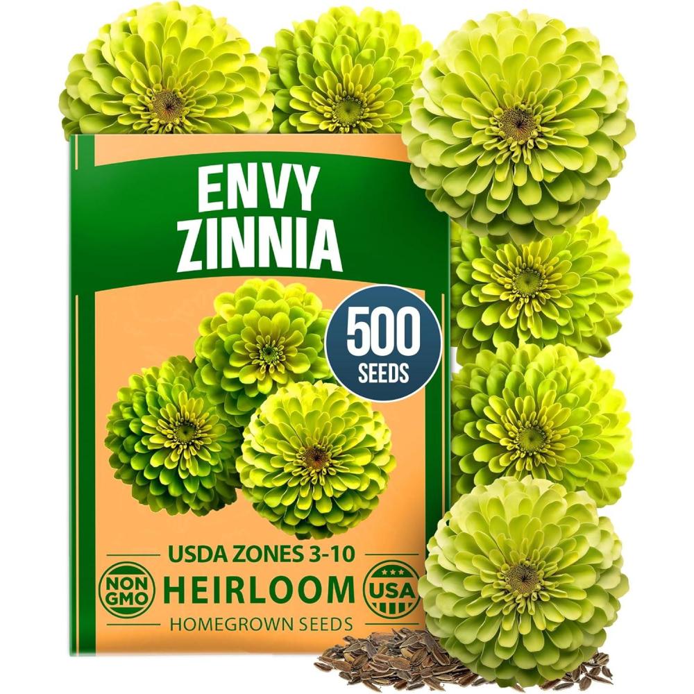 image:imageHOME GROWN Envy Zinnia Seeds 1g  1000 Rare Lime Green Annual Zinnia Flower Seeds for Planting FastGrowing HeatLoving Variety Premium Herb Seeds Garden Companion for 2026 Blooms Zinnia elegansZinnia Envy 1pk