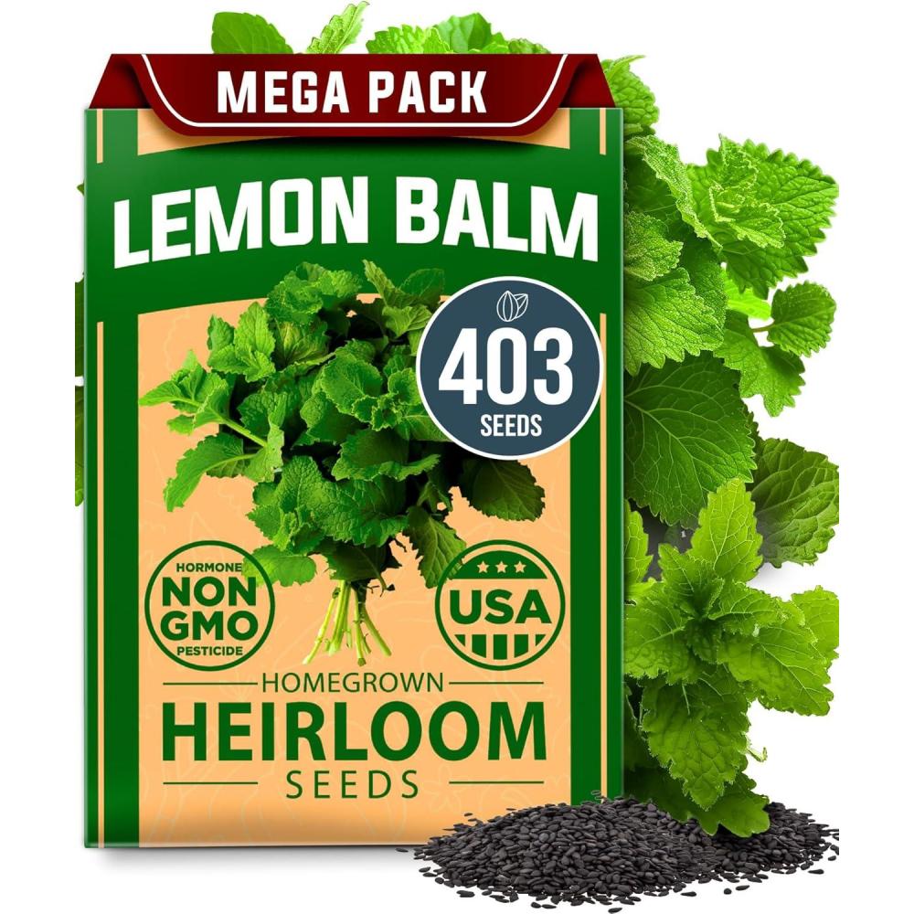 image:imageHOME GROWN Non GMO Genovese Basil Seeds Pack 1750 High Germination Heirloom Seeds Ocimum basilicum Herb Seeds for Planting Indoor amp Outdoor Gardening for Culinary UseLemon Balm