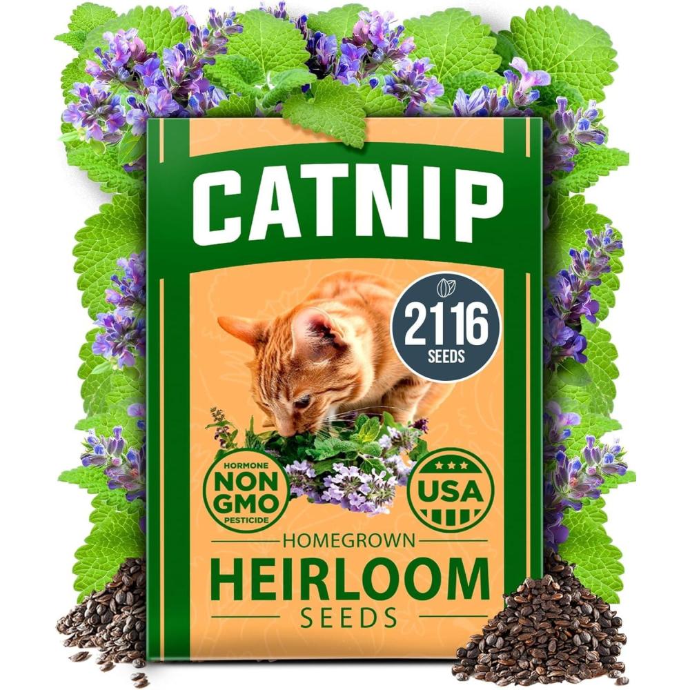 image:imageHOME GROWN Non GMO Genovese Basil Seeds Pack 1750 High Germination Heirloom Seeds Ocimum basilicum Herb Seeds for Planting Indoor amp Outdoor Gardening for Culinary UseCatnip