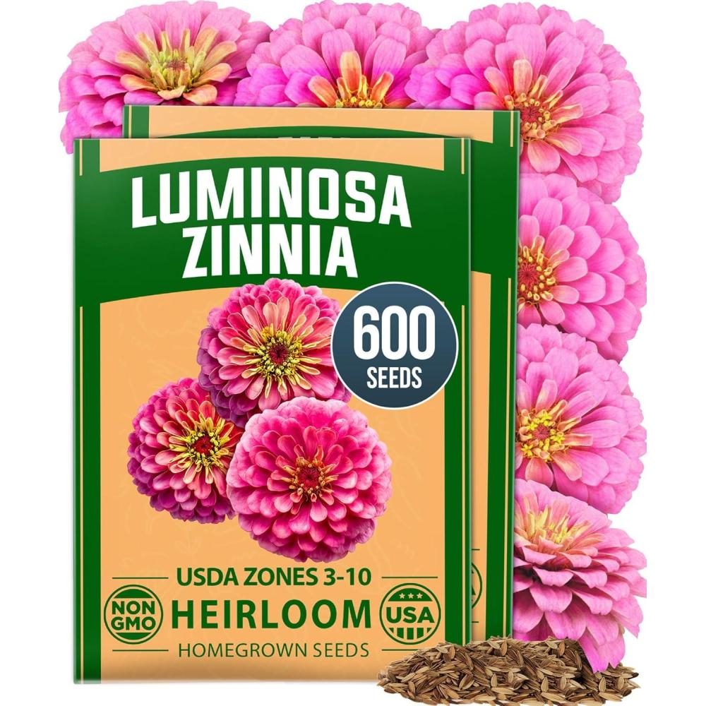 image:imageHOME GROWN Pink Zinnia Seeds  600 Luminosa Zinnias 05g Easy to Grow Annual Flower Seeds for Planting Outdoors for 2026 Fast Blooming Heat Tolerant Herb Seed Garden Companion Zinnia elegansZinnia Luminosa 2pk