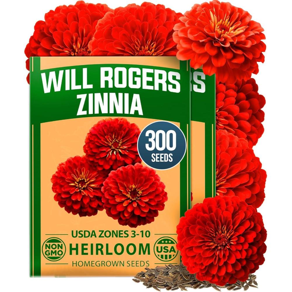 image:imageHOME GROWN Will Rogers Zinnia Seeds  300 Zinnia Flower Seeds for Planting Outdoors  Tall Zinnia Elegans Cut Flowers  Heirloom NonGMO Zinnia Seeds for 2026Will Rogers Zinnia 2pk