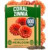 Zinnia Coral 2pk