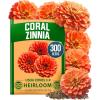 Zinnia Coral 1pk