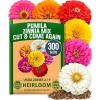 Zinnia Pumila 1pk