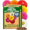 Zinnia Pumila 2pk