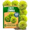 Zinnia Envy 1pk