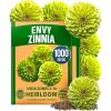 Zinnia Envy 2pk
