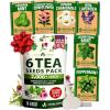 Tea Herb