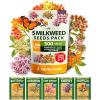 Milkweed