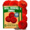 Will Rogers Zinnia 2pk