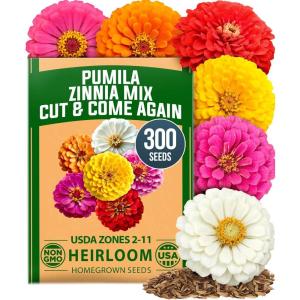 HOME GROWN Dwarf Zinnia Seeds Mix – 600 Pumila Zinnia Seeds for 2026 (0.6g) | Zinnia Flower Seeds for Planting Outdoors | Colorful Cut Annual Flowers for Summer Gardens & Containers (Zinnia elegans)(Zinnia Pumila 1pk)