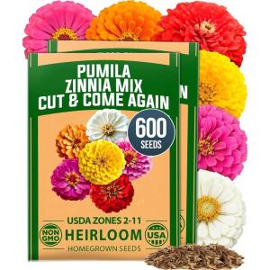 HOME GROWN Dwarf Zinnia Seeds Mix – 600 Pumila Zinnia Seeds for 2026 (0.6g) | Zinnia Flower Seeds for Planting Outdoors | Colorful Cut Annual Flowers for Summer Gardens & Containers (Zinnia elegans)(Zinnia Pumila 2pk)