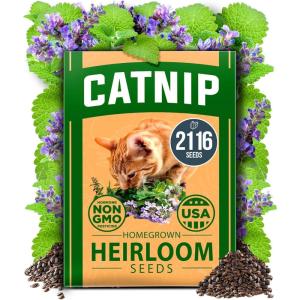 HOME GROWN Non GMO Genovese Basil Seeds Pack 1,750+ High Germination Heirloom Seeds (Ocimum basilicum) Herb Seeds for Planting Indoor & Outdoor Gardening, for Culinary Use(Catnip)