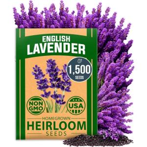 HOME GROWN Non GMO Genovese Basil Seeds Pack 1,750+ High Germination Heirloom Seeds (Ocimum basilicum) Herb Seeds for Planting Indoor & Outdoor Gardening, for Culinary Use(Lavender)