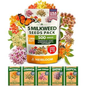 HOME GROWN Non GMO Genovese Basil Seeds Pack 1,750+ High Germination Heirloom Seeds (Ocimum basilicum) Herb Seeds for Planting Indoor & Outdoor Gardening, for Culinary Use(Milkweed)