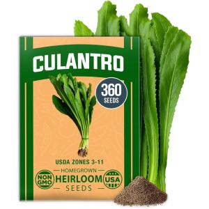 HOME GROWN Non GMO Genovese Basil Seeds Pack 1,750+ High Germination Heirloom Seeds (Ocimum basilicum) Herb Seeds for Planting Indoor & Outdoor Gardening, for Culinary Use(Culantro)