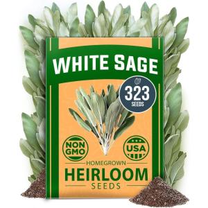 HOME GROWN Non GMO Genovese Basil Seeds Pack 1,750+ High Germination Heirloom Seeds (Ocimum basilicum) Herb Seeds for Planting Indoor & Outdoor Gardening, for Culinary Use(White Sage)