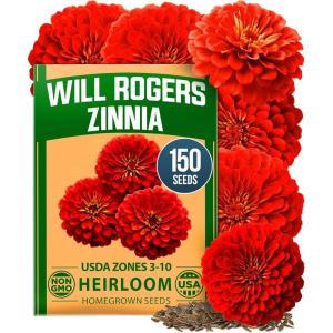 HOME GROWN Will Rogers Zinnia Seeds – 300 Zinnia Flower Seeds for Planting Outdoors – Tall Zinnia Elegans Cut Flowers – Heirloom Non-GMO Zinnia Seeds for 2026(Will Rogers Zinnia 1pk)