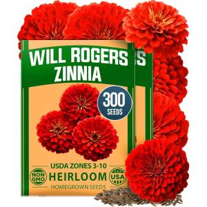 HOME GROWN Will Rogers Zinnia Seeds – 300 Zinnia Flower Seeds for Planting Outdoors – Tall Zinnia Elegans Cut Flowers – Heirloom Non-GMO Zinnia Seeds for 2026(Will Rogers Zinnia 2pk)