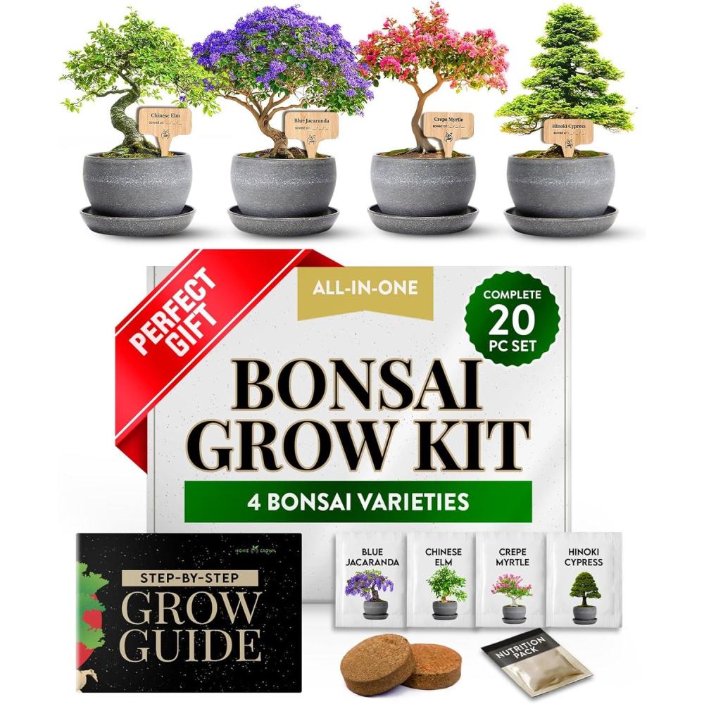 image:imageHOME GROWN Bonsai Tree Kit  Premium Ceramic Starter Set with 4 Bonsai Varieties  Easy Indoor Gardening Gift for Men amp Women  Unique Plant Kit for Beginners amp Nature LoversBonsai Deluxe Grow Kit