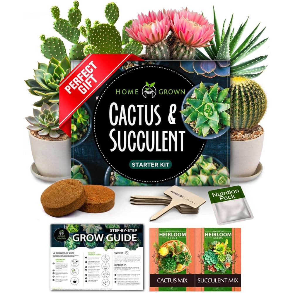 image:imageHOME GROWN Bonsai Tree Kit  Premium Ceramic Starter Set with 4 Bonsai Varieties  Easy Indoor Gardening Gift for Men amp Women  Unique Plant Kit for Beginners amp Nature LoversCactus Garden Kit