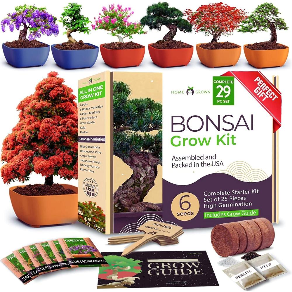 image:imageHOME GROWN Bonsai Tree Kit  Premium Ceramic Starter Set with 4 Bonsai Varieties  Easy Indoor Gardening Gift for Men amp Women  Unique Plant Kit for Beginners amp Nature LoversBonsai Master Grow Kit