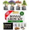 Bonsai Deluxe Grow Kit