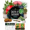 Cactus Garden Kit
