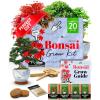 Bonsai Complete Grow Kit