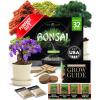 Bonsai Garden Kit