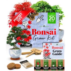 HOME GROWN Bonsai Tree Kit – Premium Ceramic Starter Set with 4 Bonsai Varieties – Easy Indoor Gardening Gift for Men & Women – Unique Plant Kit for Beginners & Nature Lovers(Bonsai Complete Grow Kit)