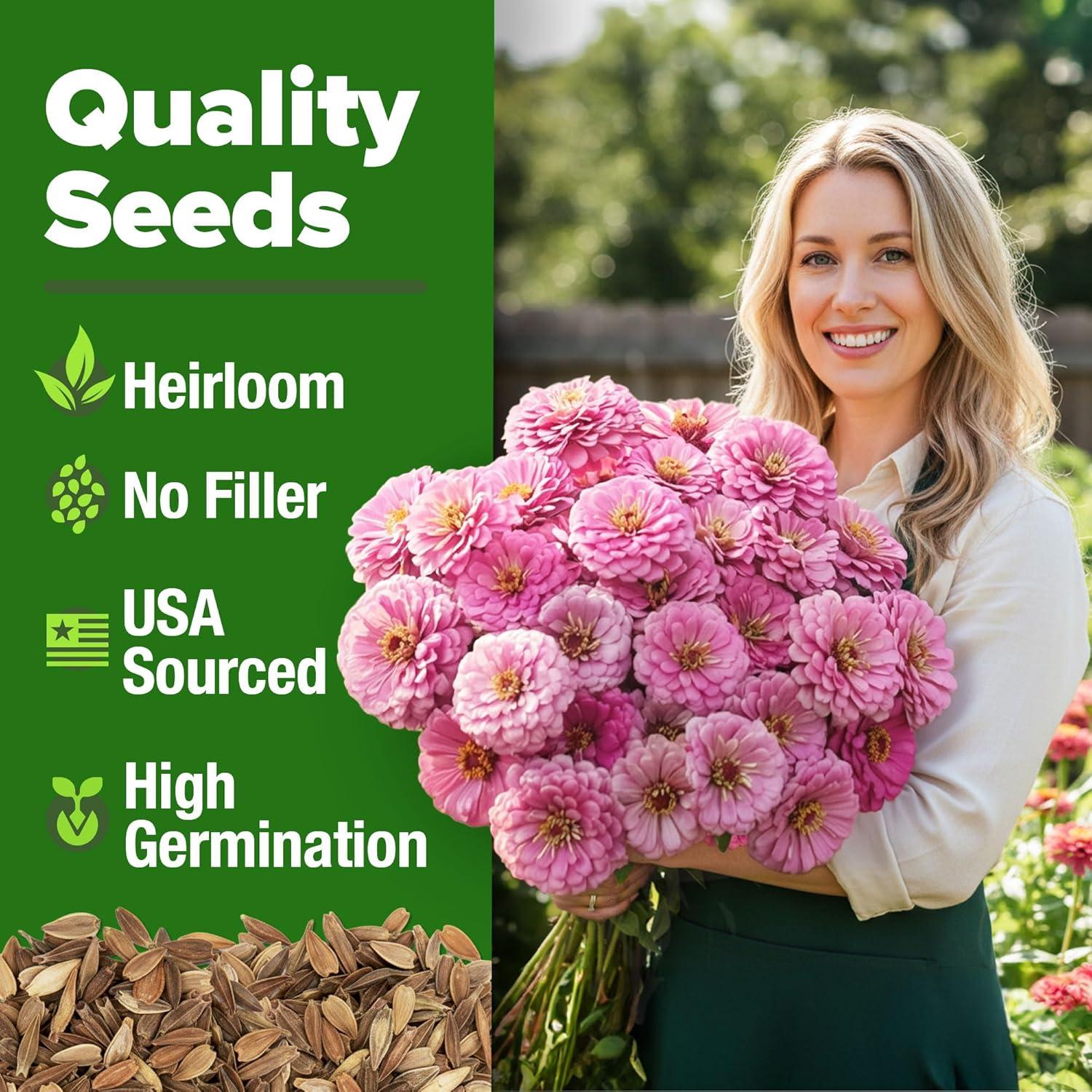 image:imageHOME GROWN Pink Zinnia Seeds 1500 Luminosa Zinnias Easy to Grow Annual Flower Seeds for Planting Outdoors for 2026 Fast Blooming Heat Tolerant Herb Seed Garden Companion Zinnia elegans