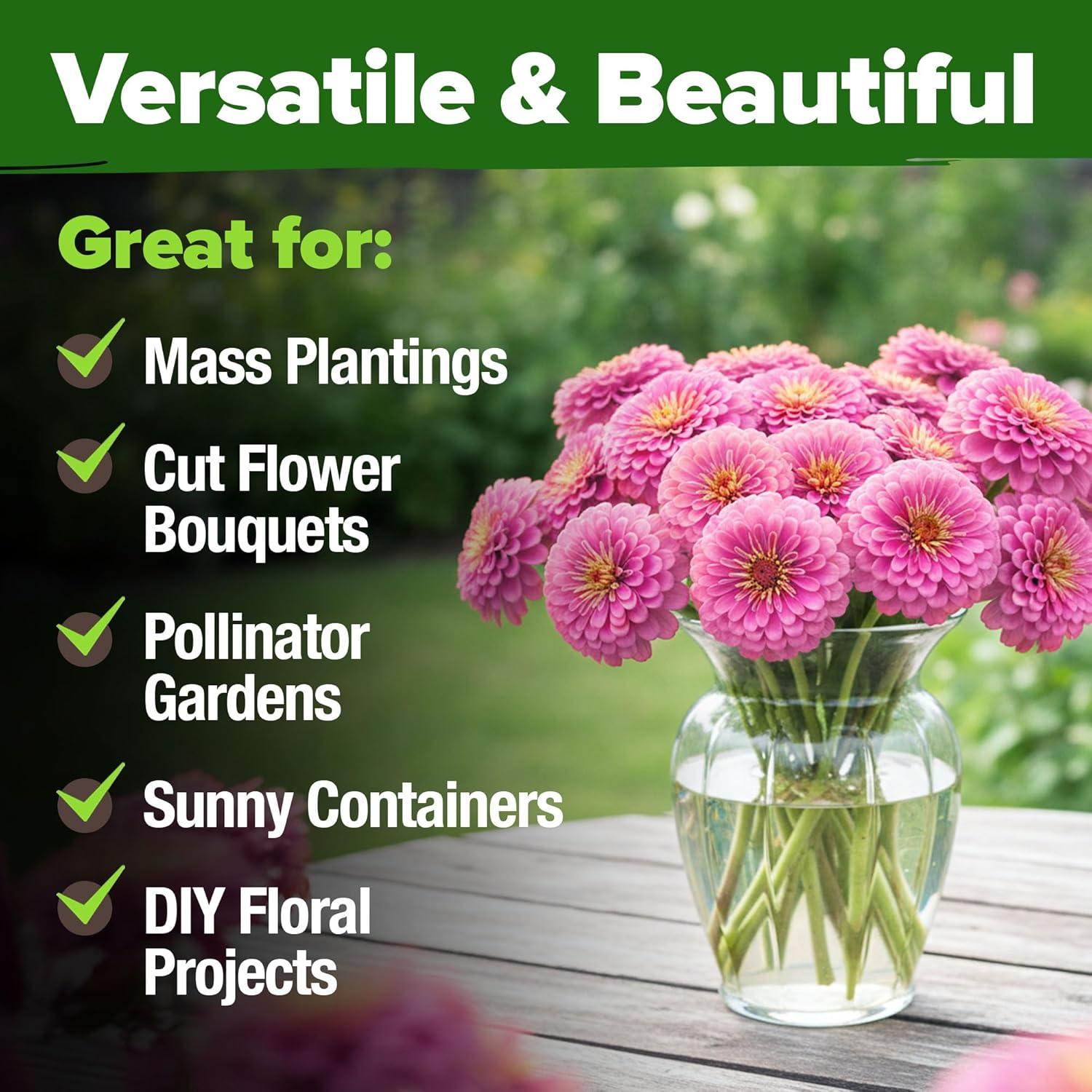 image:imageHOME GROWN Pink Zinnia Seeds 4500 Luminosa Zinnias Easy to Grow Annual Flower Seeds for Planting Outdoors for 2026 Fast Blooming Heat Tolerant Herb Seed Garden Companion Zinnia elegans