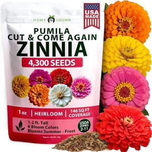 HOME GROWN Dwarf Zinnia Seeds Mix – 4300 Pumila Zinnia Seeds for 2026 | Zinnia Flower Seeds for Planting Outdoors | Colorful Cut Annual Flowers for Summer Gardens & Containers (Zinnia elegans)