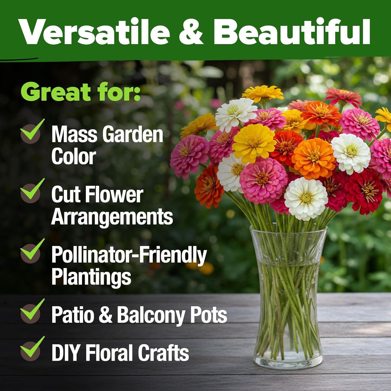 image:imageHOME GROWN Dwarf Zinnia Seeds Mix  8525 Pumila Zinnia Seeds for 2026 2oz  Zinnia Flower Seeds for Planting Outdoors  Colorful Cut Annual Flowers for Summer Gardens amp Containers Zinnia elegans