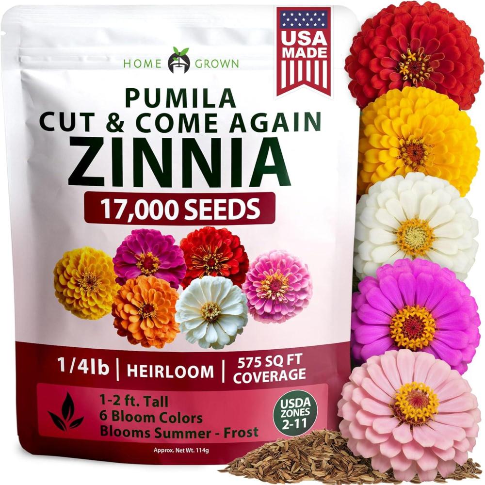 image:imageHOME GROWN Dwarf Zinnia Seeds Mix  17000 Pumila Zinnia Seeds for 2026  Zinnia Flower Seeds for Planting Outdoors  Bulk Colorful Cut Annual Flowers for Summer Gardens amp Containers Zinnia elegans