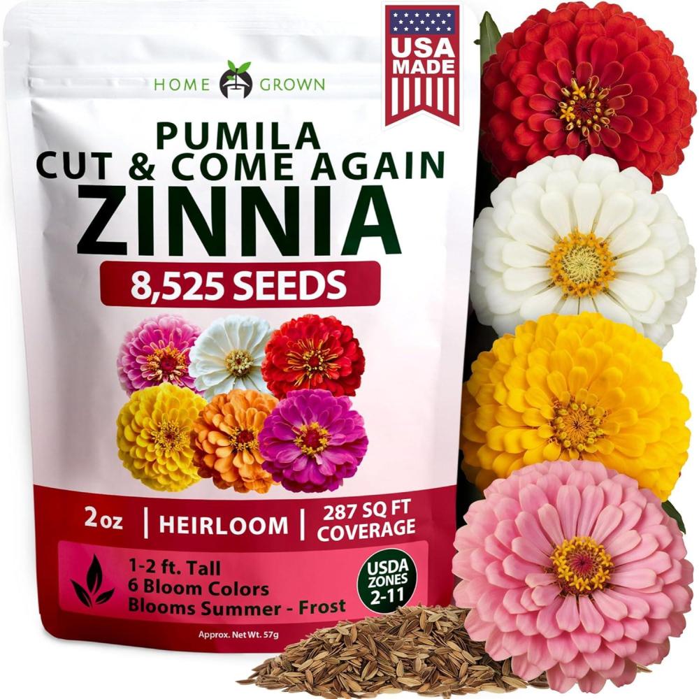image:imageHOME GROWN Dwarf Zinnia Seeds Mix  8525 Pumila Zinnia Seeds for 2026 2oz  Zinnia Flower Seeds for Planting Outdoors  Colorful Cut Annual Flowers for Summer Gardens amp Containers Zinnia elegans