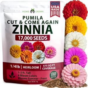 HOME GROWN Dwarf Zinnia Seeds Mix – 17000 Pumila Zinnia Seeds for 2026 | Zinnia Flower Seeds for Planting Outdoors | Bulk Colorful Cut Annual Flowers for Summer Gardens & Containers (Zinnia elegans)
