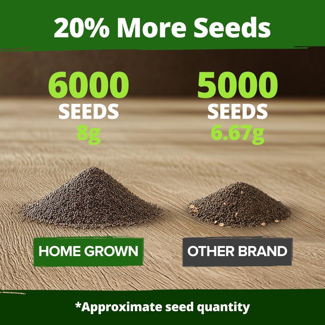 image:imageHOME GROWN California Poppy Golden West Seeds 6000 Spring Flower Seeds for Planting 2026 Perennial Poppy Seed for Planting Outdoors Herb Seeds Eschscholzia californica
