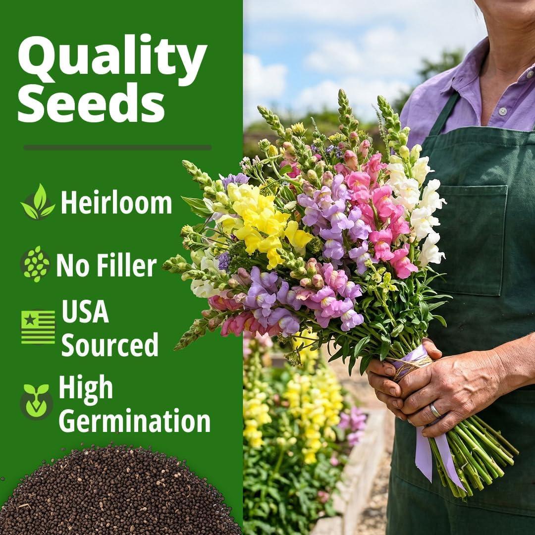 image:imageHOME GROWN Snapdragon Northern Lights Seeds 10000 Flower Seeds for Planting 2026 Spring Pastel Garden Blooms of Snap Dragon Pollinator Friendly Outdoor Cut Flowers Antirrhinum majus