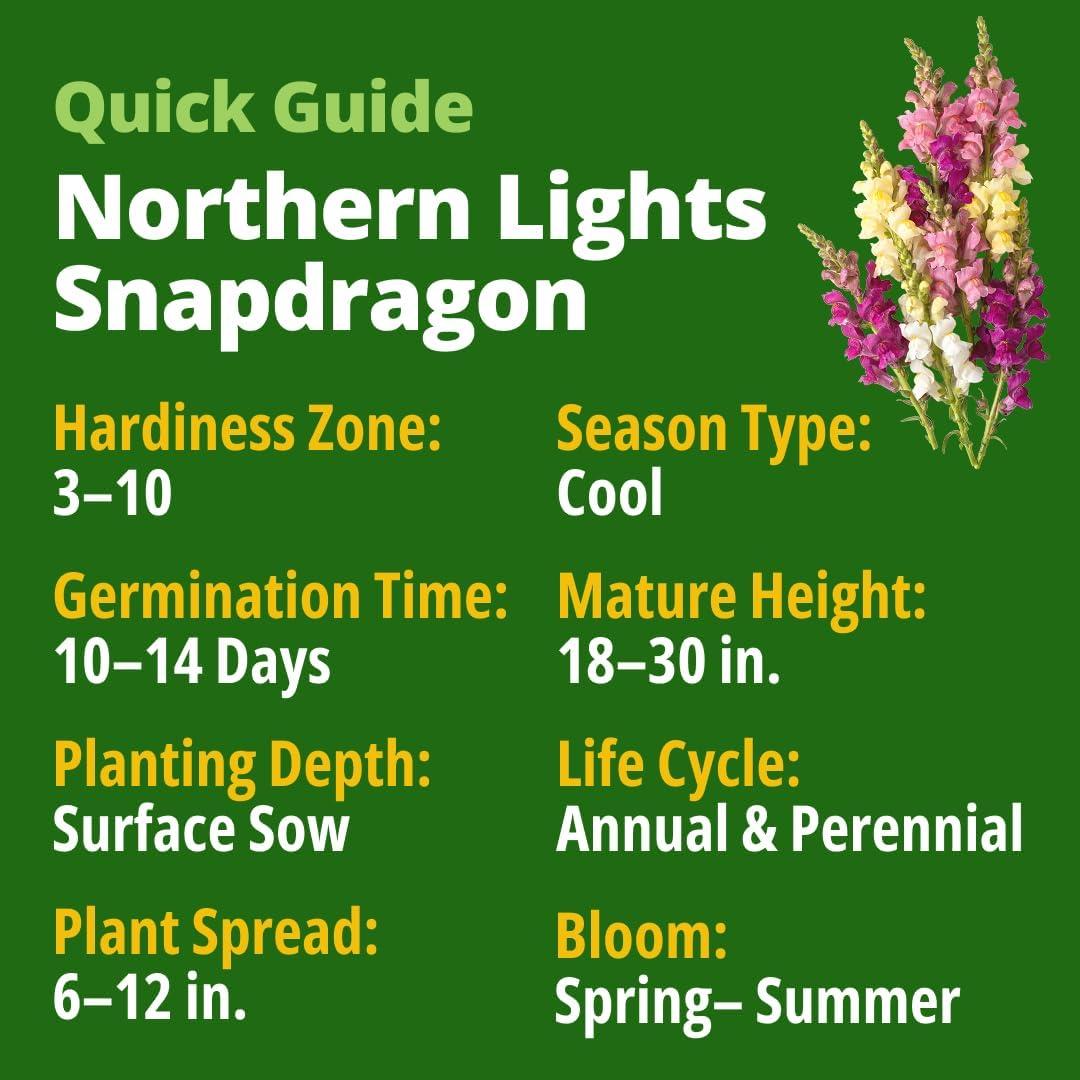 image:imageHOME GROWN Snapdragon Northern Lights Seeds 10000 Flower Seeds for Planting 2026 Spring Pastel Garden Blooms of Snap Dragon Pollinator Friendly Outdoor Cut Flowers Antirrhinum majus