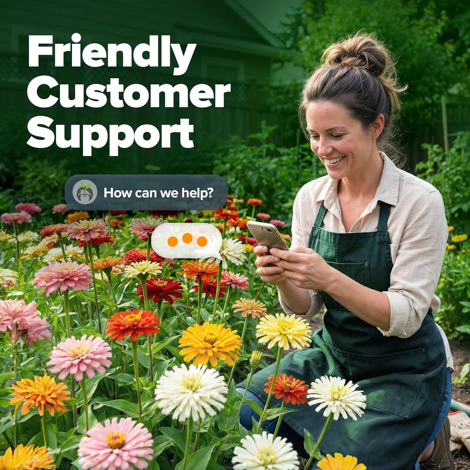 image:imageHOME GROWN Zinnia Cactus Mix Seeds 5550 Flower Seeds for Spring Planting Outdoors 2026 Large Zinnia Flower Seed Easy Grow Garden amp Cut Flowers Zinnia elegans