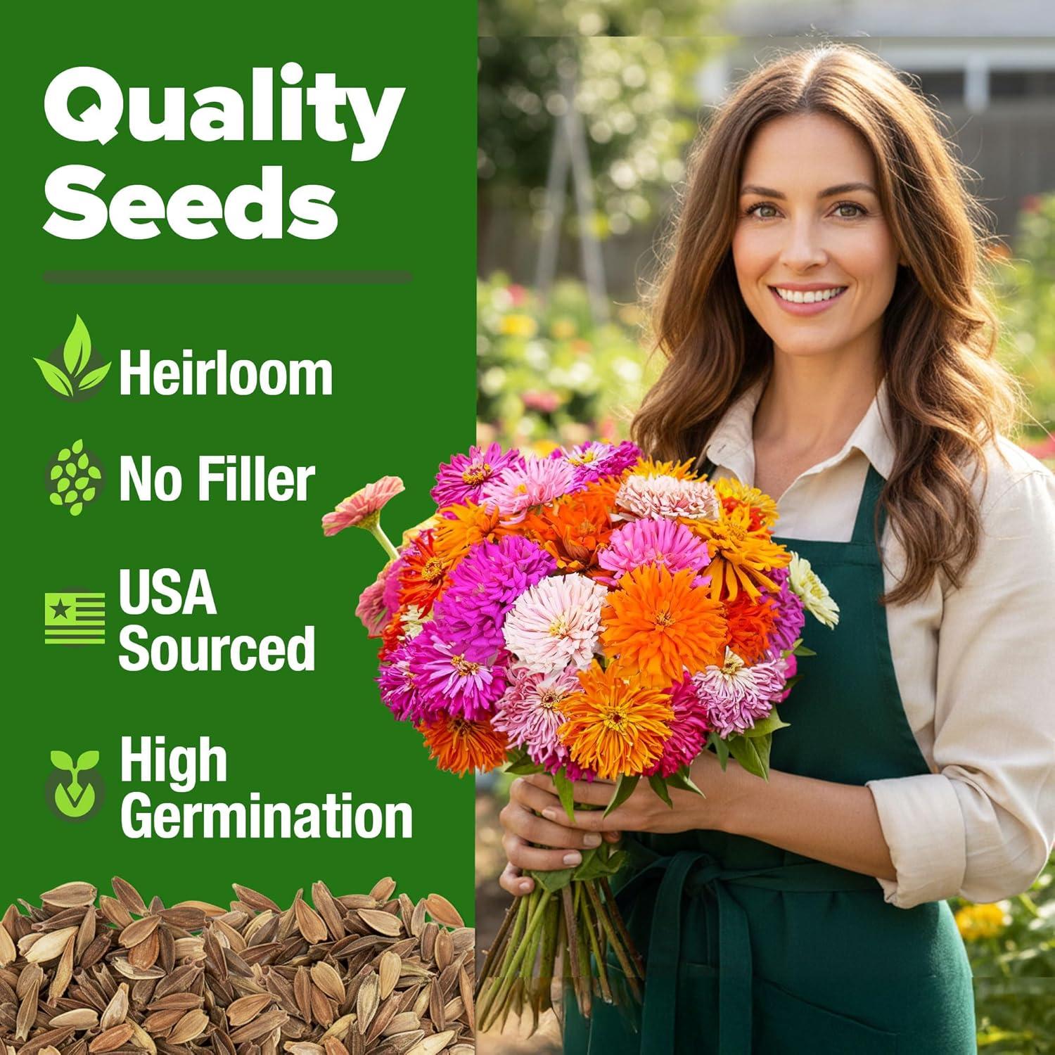 image:imageHOME GROWN Zinnia Cactus Mix Seeds 5550 Flower Seeds for Spring Planting Outdoors 2026 Large Zinnia Flower Seed Easy Grow Garden amp Cut Flowers Zinnia elegans