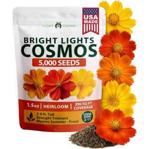 HOME GROWN Cosmos Bright Lights Mix Seeds – 5000 Cosmos Sulphureus for Planting Spring 2026, Refined Wildflower Herb Seed Mix, Easy Grow Outdoor Flower Seeds for Gardens