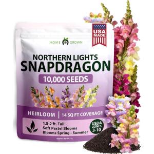 HOME GROWN Snapdragon Northern Lights Seeds, 10000 Flower Seeds for Planting 2026 Spring, Pastel Garden Blooms of Snap Dragon, Pollinator Friendly Outdoor Cut Flowers (Antirrhinum majus)