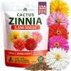 Zinnia Cactus - Large