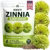 Zinnia Envy - Large